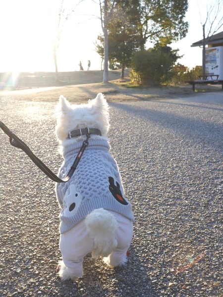 23-03-02-11-25-12-670_deco