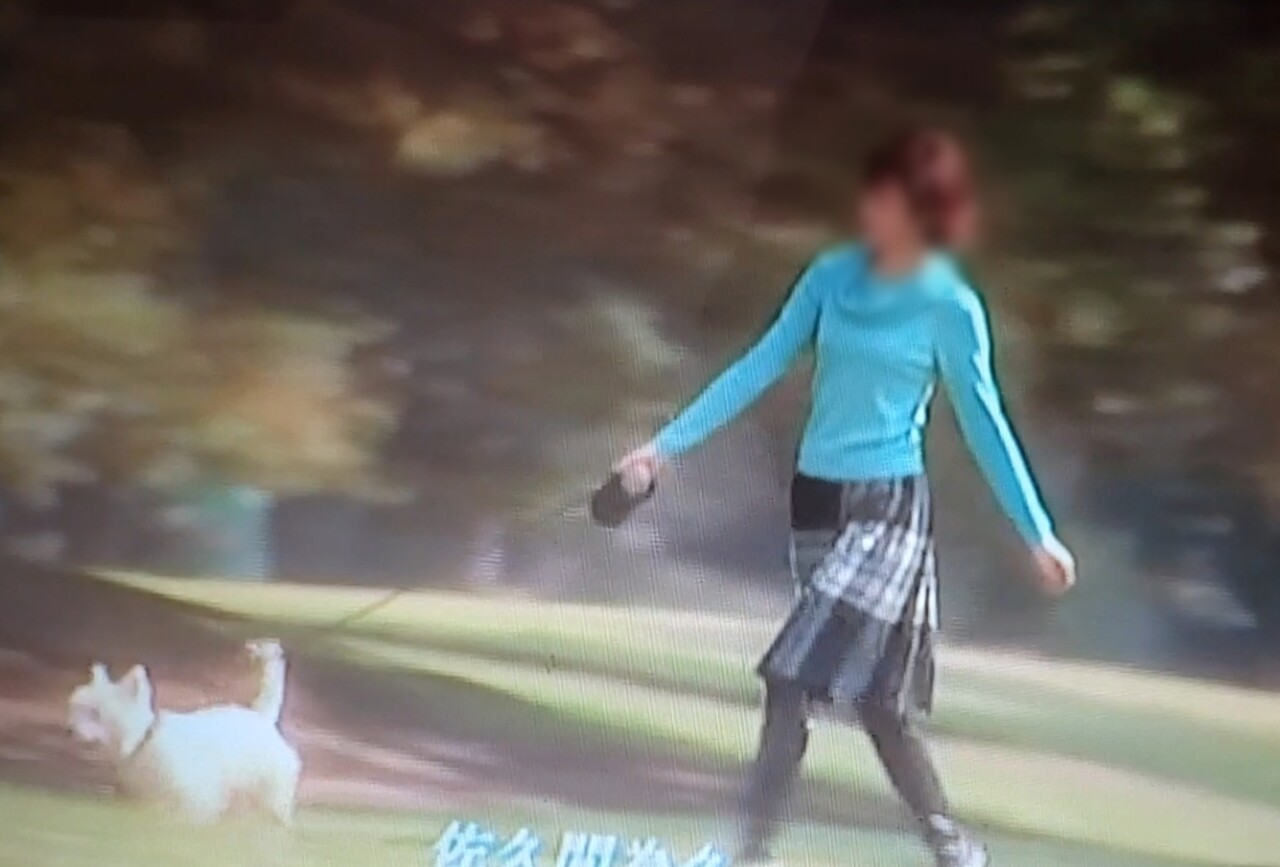 日記 やまとなでしこ にでてくるウエスティ たかシェフのおうちごはん と 白い犬 と チワワ Powered By ライブドアブログ