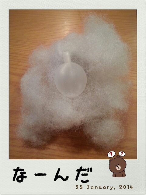 ●はかない命だった・・・。