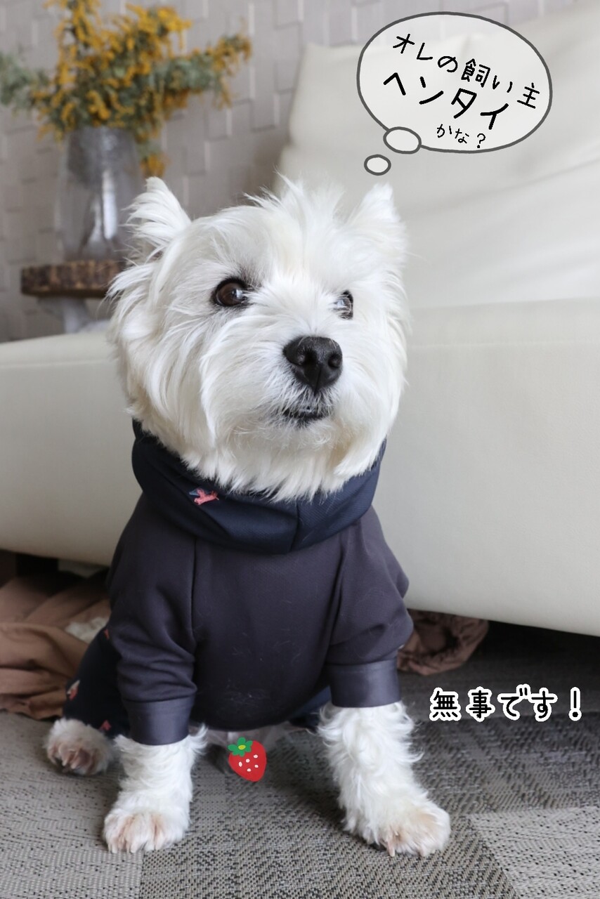 ピッタリサイズのお洋服がない件 : たかシェフのおうちごはん。と