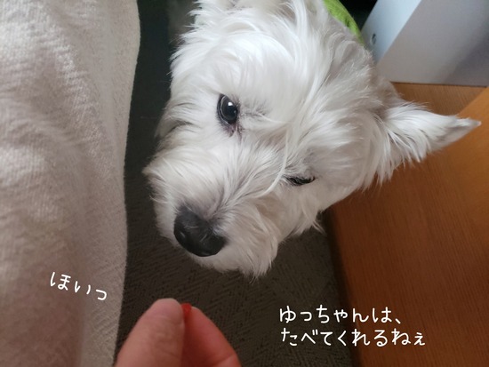 22-04-11-10-29-41-669_deco