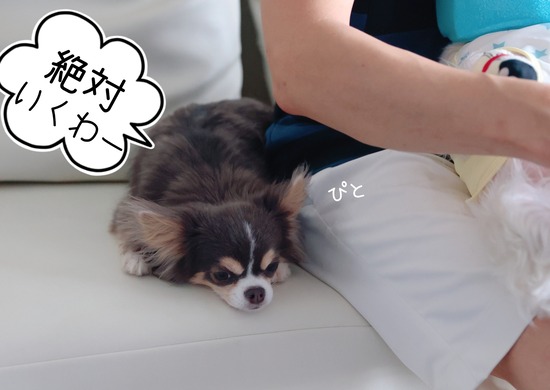 22-06-25-07-15-25-821_deco