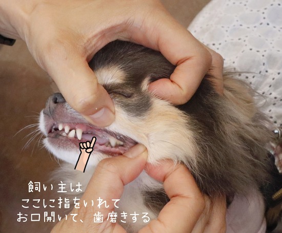 24-07-18-14-14-12-436_deco