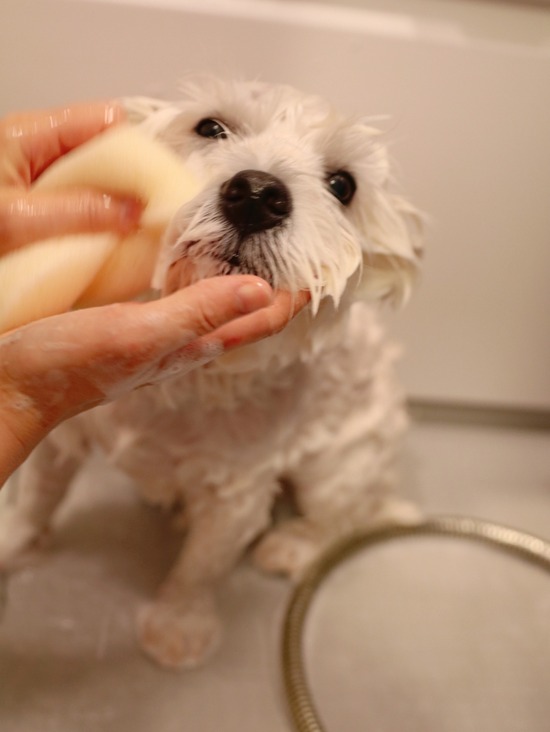 21-09-23-13-26-56-864_deco