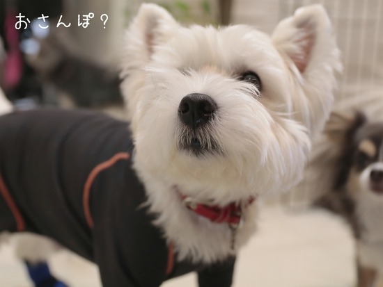 21-01-29-08-15-00-770_deco