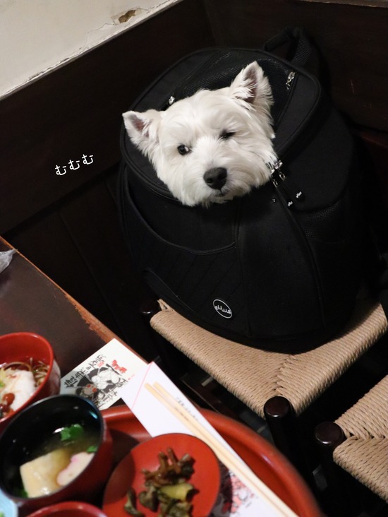 22-04-17-13-02-58-861_deco