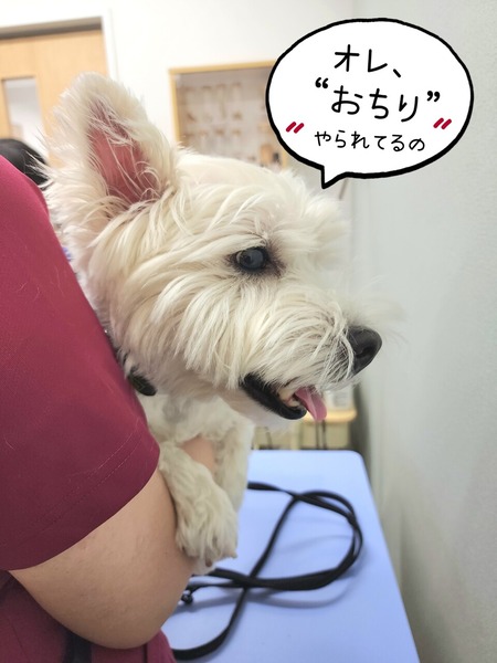 23-07-26-21-43-29-665_deco