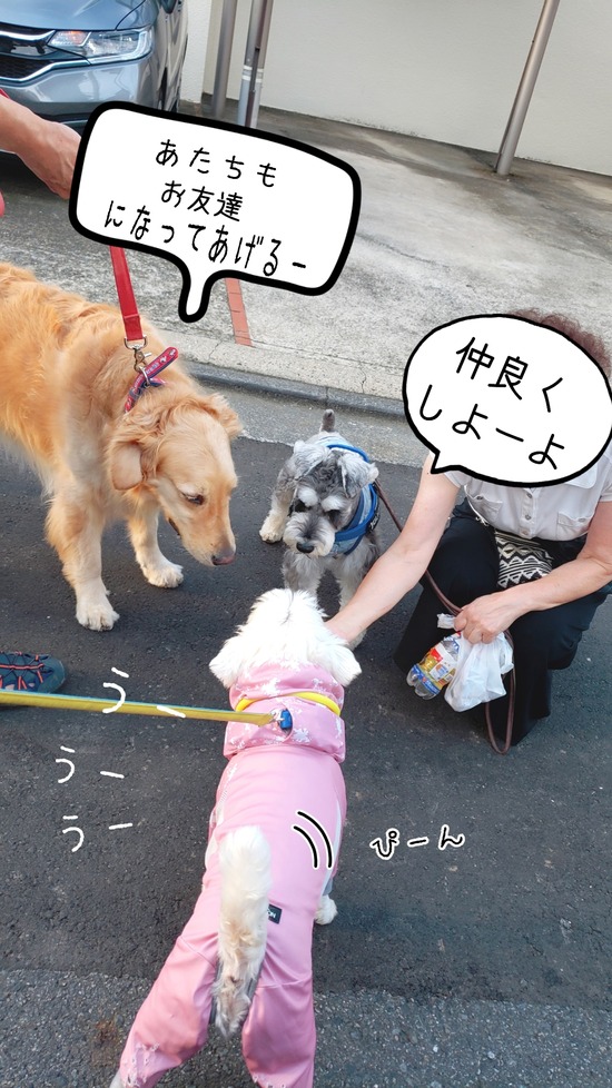 21-08-23-00-29-51-120_deco