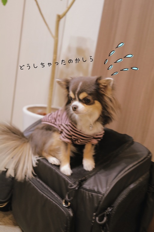 20-01-09-23-17-13-765_deco