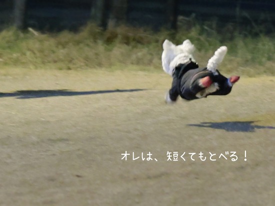 25-12-28-13-35-16-623_deco