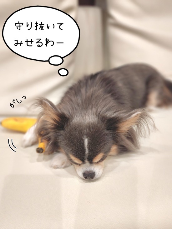 22-10-31-08-21-15-267_deco