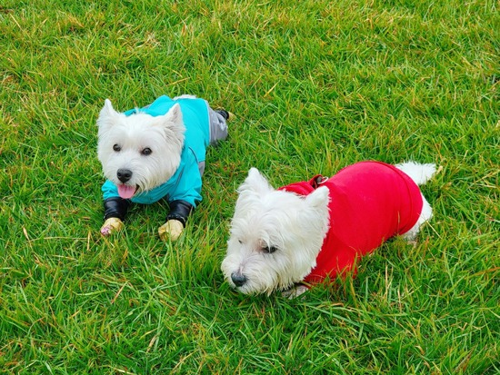 21-10-26-11-48-35-646_deco