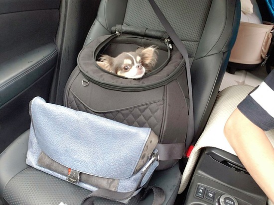 21-07-02-19-59-16-464_deco