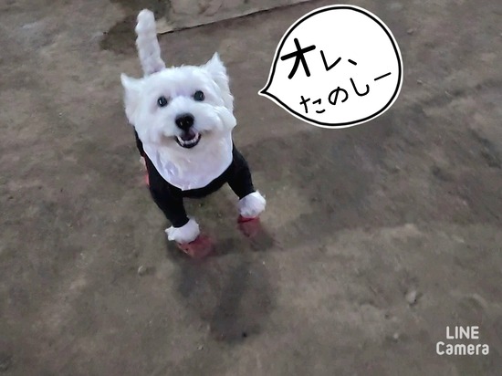 24-03-15-10-24-39-200_deco