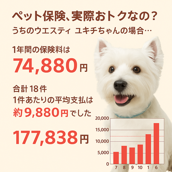 【体験談】ペット保険は本当にお得？ウエスティ“ゆきち”の年間実績を大公開！