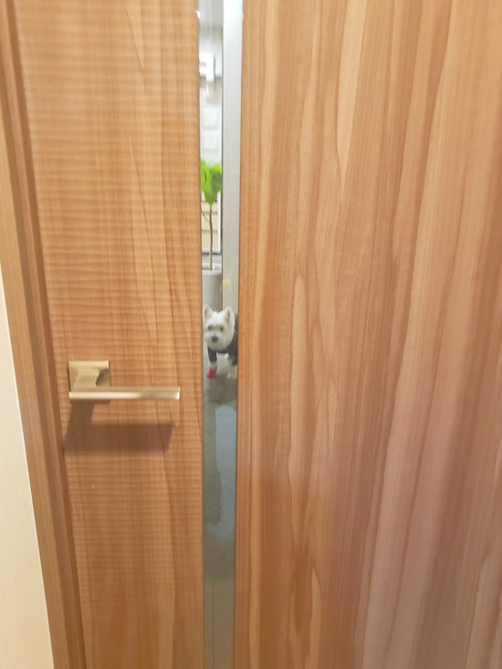 21-10-24-17-12-43-750_deco