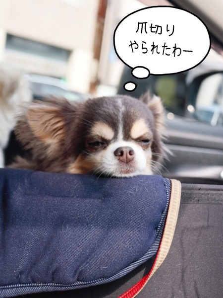 24-06-18-08-39-46-018_deco