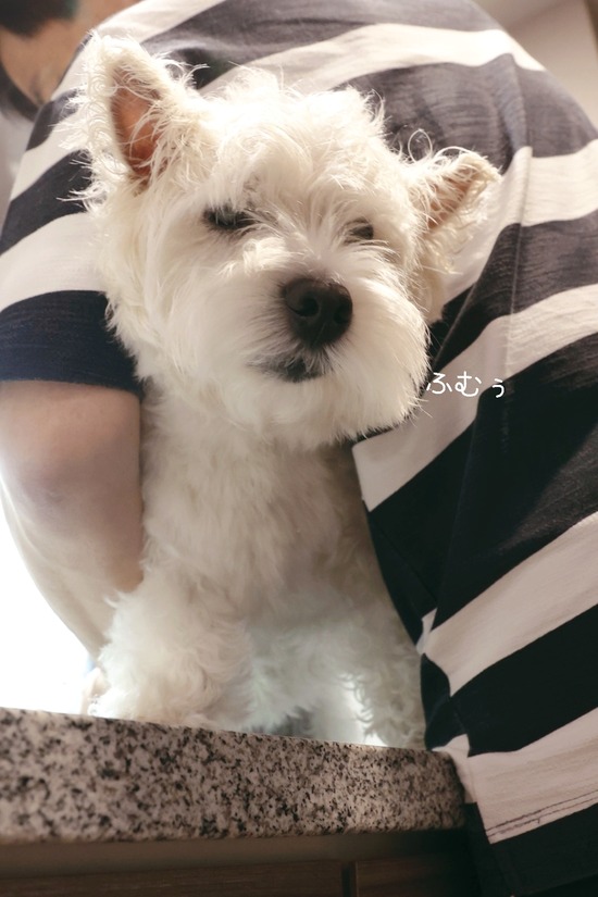 24-07-27-14-06-33-289_deco