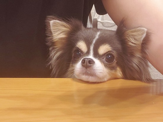 2020-10-06-082736009