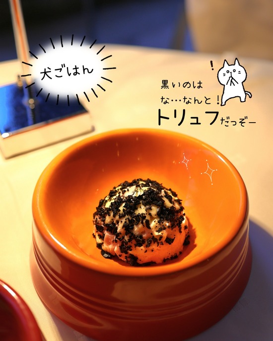 【恵比寿】ジョエル・ロブションのテラス席は犬連れ天国！超一流シェフが作る「犬用フレンチ」が凄すぎた