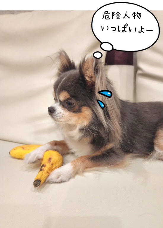 22-10-31-12-01-57-091_deco