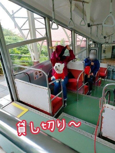 21-10-26-08-18-35-481_deco