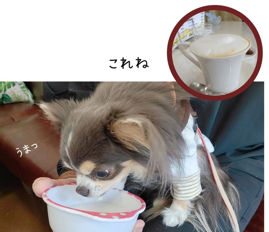 22-03-24-19-18-58-908_deco