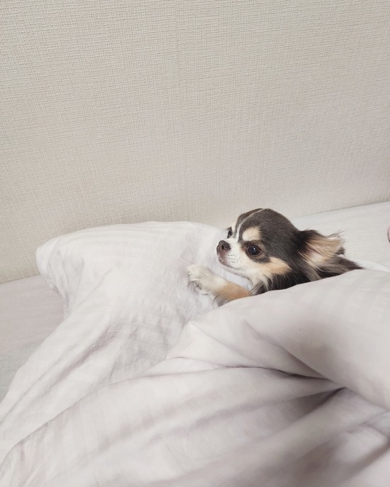 毎日、飽きない光景。毎日、萌える