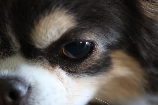 20240529104027_3A7A5201