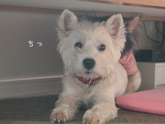 21-02-16-01-41-57-047_deco