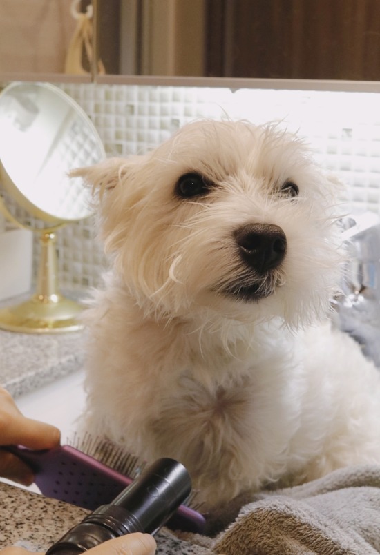 21-12-08-13-05-45-826_deco