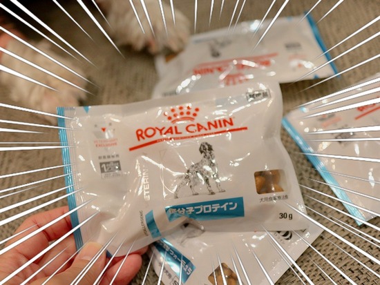 24-08-31-20-04-59-415_deco