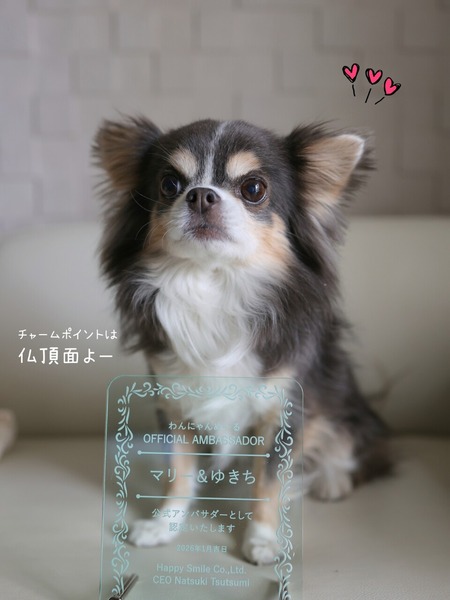 25-12-28-10-27-40-196_deco