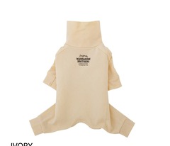 楽天ブラックフライデー　犬連れの長旅で分かった「持っていけばよかった物」