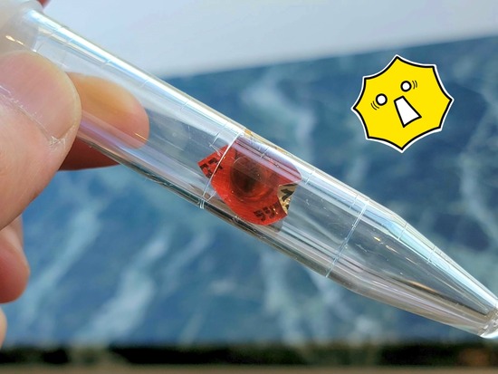 23-08-21-20-32-20-175_deco