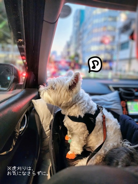 24-07-27-10-01-42-600_deco