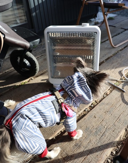 26-03-02-16-03-17-408_deco