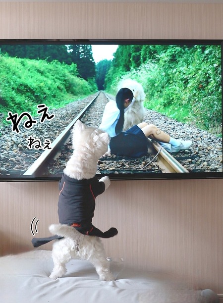 24-06-07-20-16-23-435_deco