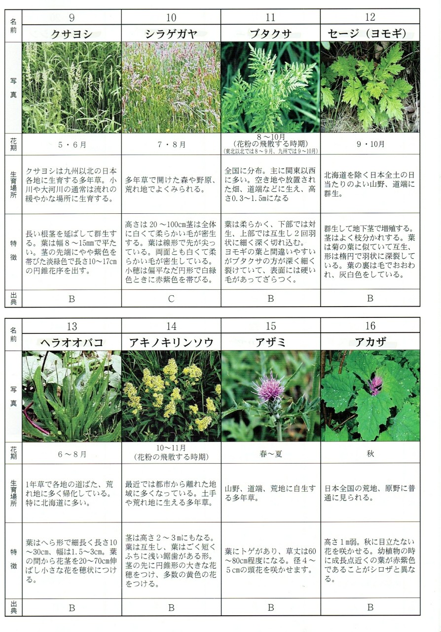犬 アレルギー検査の結果がでたぞ その たかシェフのおうちごはん と 白い犬 と チワワ Powered By ライブドアブログ