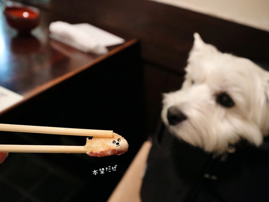 22-04-17-13-07-40-541_deco