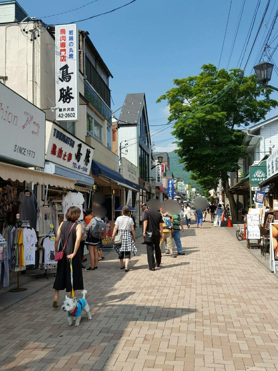 犬旅 旧軽井沢食堂でおひるごはん たかシェフのおうちごはん と 白い犬 と チワワ Powered By ライブドアブログ 犬旅 旧軽井沢食堂でおひるごはん たかシェフのおうちごはん と 白い犬 と チワワ Powered By ライブドアブログ