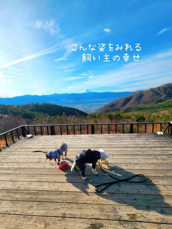 26-03-02-14-32-29-600_deco