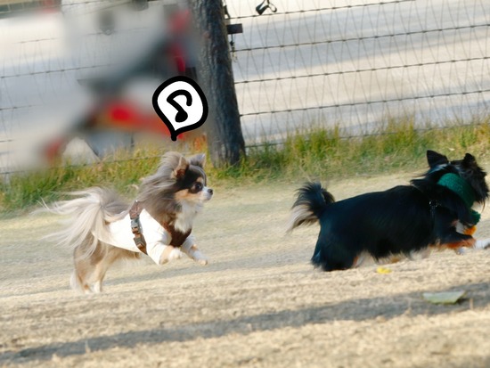 21-12-02-14-08-17-044_deco