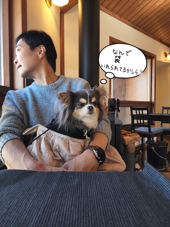 22-12-12-12-25-02-704_deco