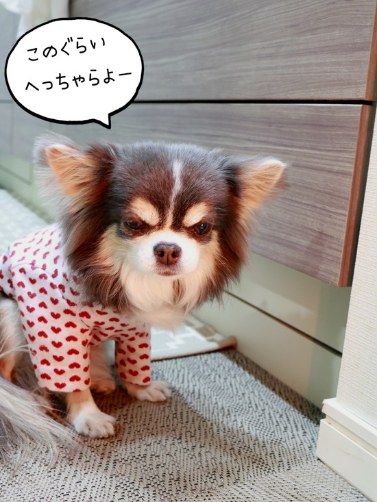 26-01-08-07-16-41-671_deco