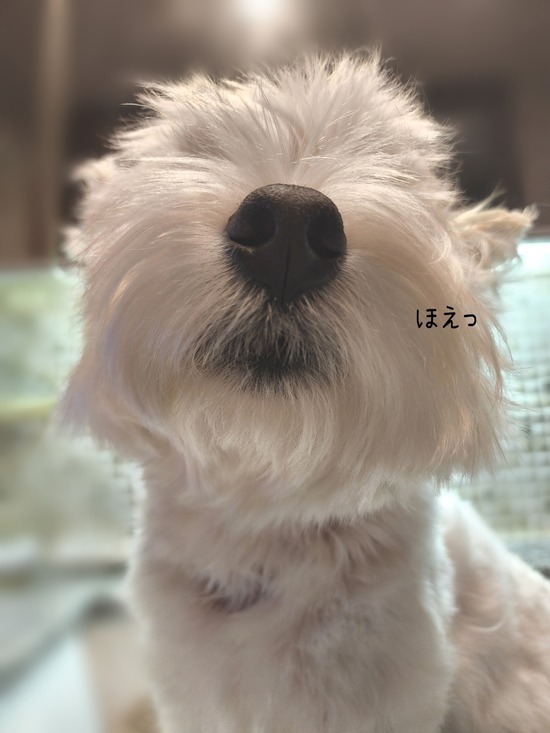 Point Blur_20221002_132012