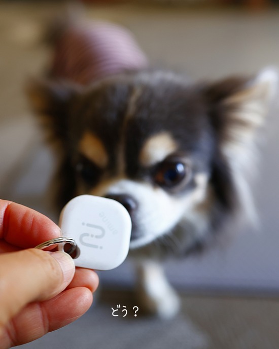 26-02-04-18-32-19-863_deco