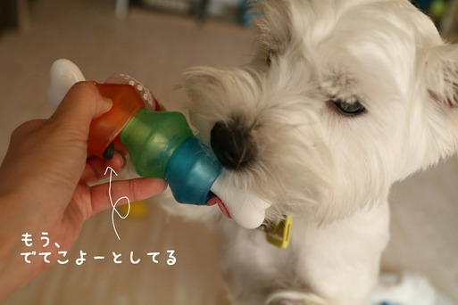 【知育おもちゃシリーズ③】トリートポット　ナイロン