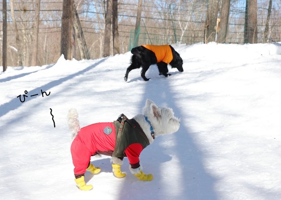 22-03-02-09-27-19-565_deco