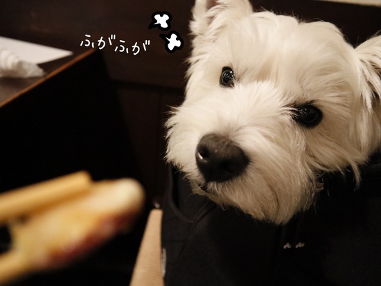 22-04-17-13-09-29-988_deco